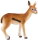 Mojö 387123 - Thomson-Gazelle Kitz