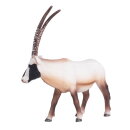 Mojö 387242 - Oryx Antilope