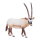 Mojö 387242 - Oryx Antilope