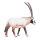 Mojö 387242 - Oryx Antilope