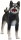 Mojö 387363 - Shiba Inu schwarz