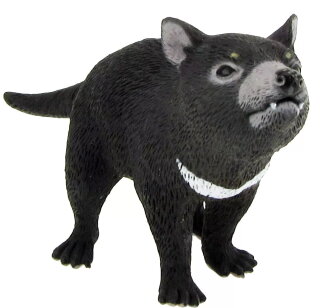 Animals of Australia 75459 - Tasmanischer Teufel