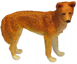 Animals of Australia 75461 - Dingo (large)