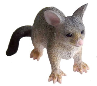 Animals of Australia 75362 - Possum (small)