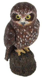 Animals of Australia 75463 - Southern Boobook (large)
