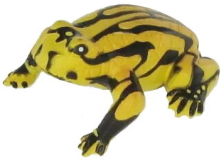 Animals of Australia 75361 - Corroboree Frosch