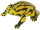 Animals of Australia 75361 - Corroboree Frosch