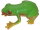 Animals of Australia 75342 - Rotaugenbaumfrosch