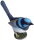 Animals of Australia 75384 - Blue Wren