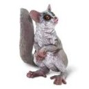Safari Ltd. 100511 - Bush Baby