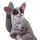 Safari Ltd. 100511 - Bush Baby