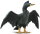 Safari Ltd. Wings Of The World 150129 - Anhinga (2016 Version)