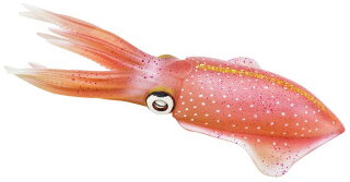 Safari Ltd. 266229 - Reef Squid