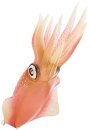 Safari Ltd. 266229 - Reef Squid