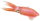 Safari Ltd. 266229 - Reef Squid