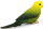Safari Ltd. Wings Of The World 150429 - Green Budgie