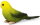 Safari Ltd. Wings Of The World 150429 - Green Budgie