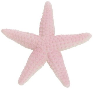 Safari Ltd Glow-in-the-Dark 201129 - Starfish
