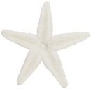 Safari Ltd Glow-in-the-Dark 201129 - Starfish