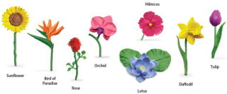 Safari Ltd. Toob® 682904 - Blumen