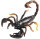 Animals of Australia 78080 - Skorpion