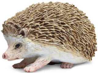 Safari Ltd. 261129 - Hedgehog