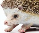 Safari Ltd. 261129 - Hedgehog