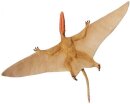 Safari Ltd. 304729 - Dimorphodon