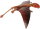 Safari Ltd. 304729 - Dimorphodon