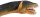 Safari Ltd. 302429 - Elasmosaurus