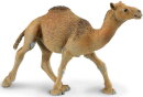 Safari Ltd. 222429 - Dromedary Camel