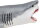 Safari Ltd. 303329 - Megalodon