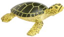 Safari Ltd. 201329 - Green Sea Turtle Baby