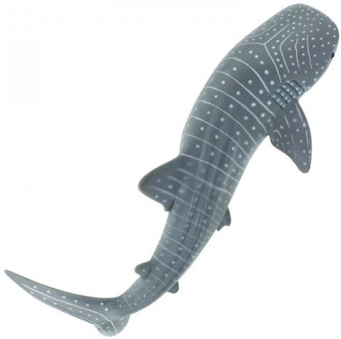 Walhai 19 cm série les animaux aquatiques Safari Ltd 422129 