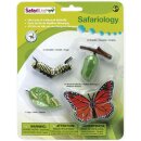 Safari Ltd. 622616 -  Life Cycle of a Monarch Butterfly