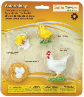 Safari Ltd. 662816 - Lebenszyklus des Huhn