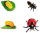 Safari Ltd. 662716 - Life Cycle of a Ladybug