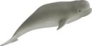 M+B 13013 - Beluga Whale