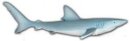 M+B 13006 - Blue Shark