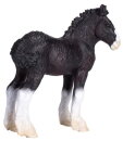 Mojö 387399 - Shire Horse Fohlen