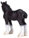 Mojö 387399 - Shire Horse Fohlen