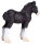 Mojö 387399 - Shire Horse Fohlen