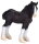 Mojö 387399 - Shire Horse Fohlen