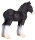 Mojö 387399 - Shire Horse Fohlen