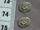 Sulser TR Hintere Bauchgurtverzierung Blume - silberfarben