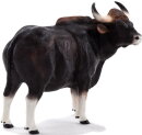 Mojö 387170 - Gaur Bulle
