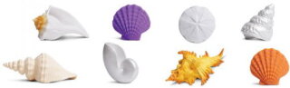 Safari Ltd. Toob® 688804 - Seashells