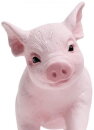 Safari Ltd. 265429 - Schweinchen