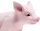 Safari Ltd. 265429 - Schweinchen
