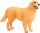 Mojö 387198 - Golden Retriever